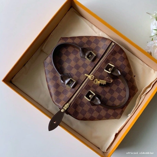 Official oldcobbler 25 SPEEDY Louis Vuitton 0731